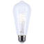 6 Watt ST19 LED Reminiscent Flex Gray Coil Filament E26 3000K 120 Volt