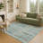 Machine Washable Indoor/Outdoor Chantille ACN2711 Casual Rug-1031973382-1031973377