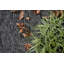 Tapis noir-1073719385