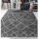 Argueta Geometric Indoor Rug