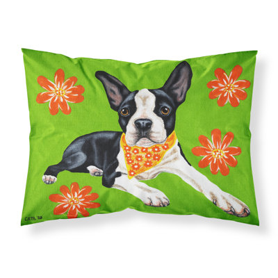  Taie d'oreiller Cutie Boston Terrier