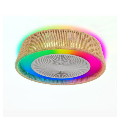 Ventilateur de plafond rustique moderne 21,3 po avec DEL RVB et moteur à courant continu silencieux