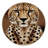 Washable Asiatic Cheetah Big Cats Area Rug-1983224020