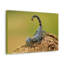 Art mural majestueux Scorpion-1466839300