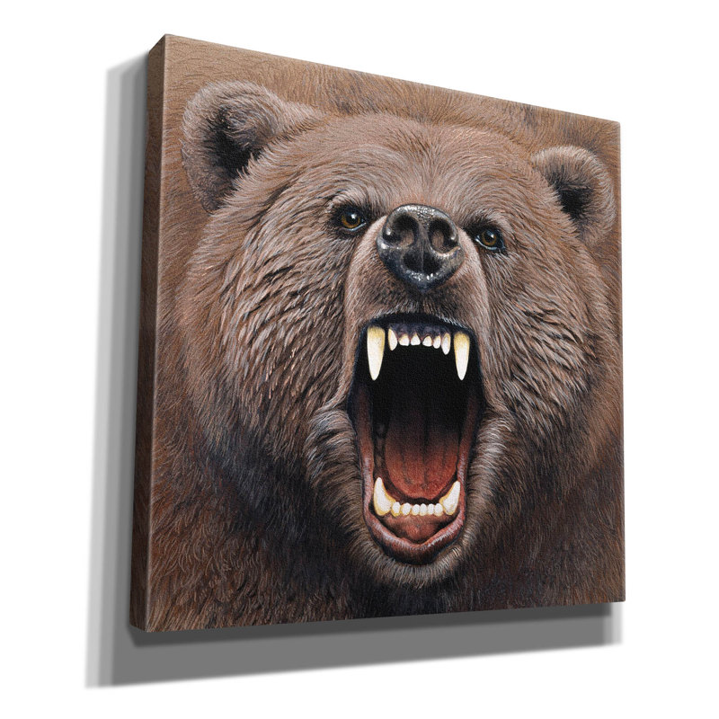 «Epic Graffiti» «Bear 2» par Harro Maass, toile Wall Bear 2 par Harro Maass, L 12 po x H 12 po x P 0,75 po