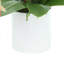 Modern Orchid Arrangement in Round Fiberstone Pot-1084581254