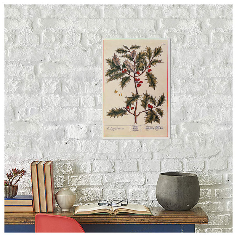 Elizabeth Blackwell - Print on Canvas, Wrapped Canvas, 20.32 cm H x 30.48 cm W