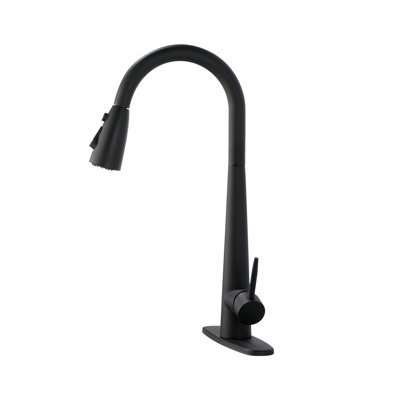 Pull Down Single Handle Kitchen Faucet