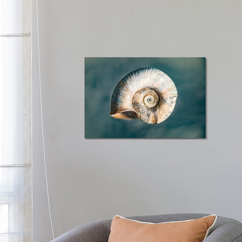 100 Years Of Shell Oceanic Edition by Nik Rave - Wrapped Canvas Print, 66.04 cm H x 45.72 cm W