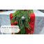 Guirlande de Noël artificielle 9 pi 10 po Norfolk-2087664530-2088061281