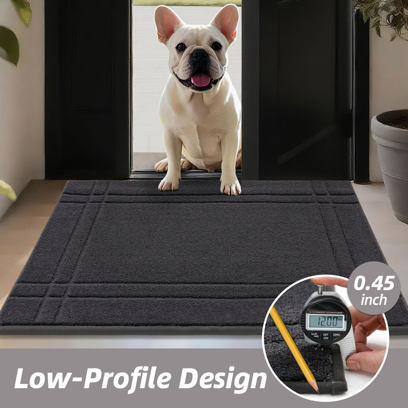 Non-Slip Doormat, Machine Washable Absorbent Entryway Rug for Shoes & Paws, Stain Resistant Low Profile Door Mat for Indoor Front/Back Entry
