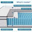 Scheinman FDW Firm Memory Foam Mattress-771834378-771834483