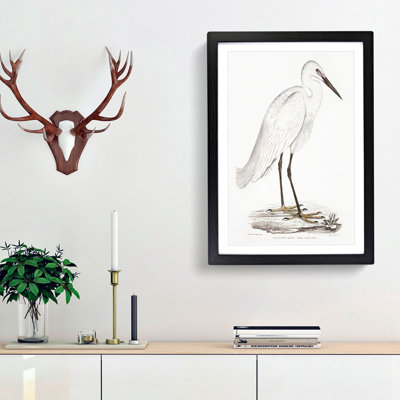 White Heron by John Edward Gray - Framed Print