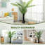 Lifelike Artificial Areca Palm, Stable Potted Fake Plant, Nature Inspired Decor for Indoor Spaces
