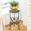 Iron 1 Tier Plant Stand