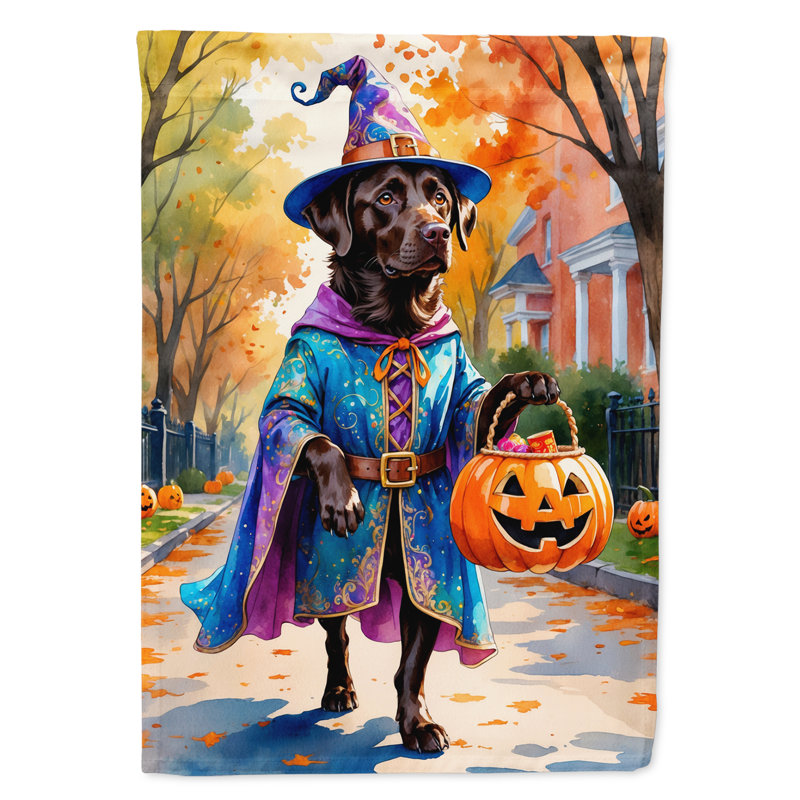 Drapeau du jardin Mastiff, Labrador Retriever chocolat