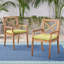 Chaise de salle à manger, 2 pièces avec 2 coussins, pour la cour, le bord de la piscine, le jardin-1522922578