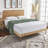Advanced Support 3'' Memory Foam Mattress Topper-63084384