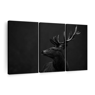 «Red Deer BW», 3 pièces sur toile