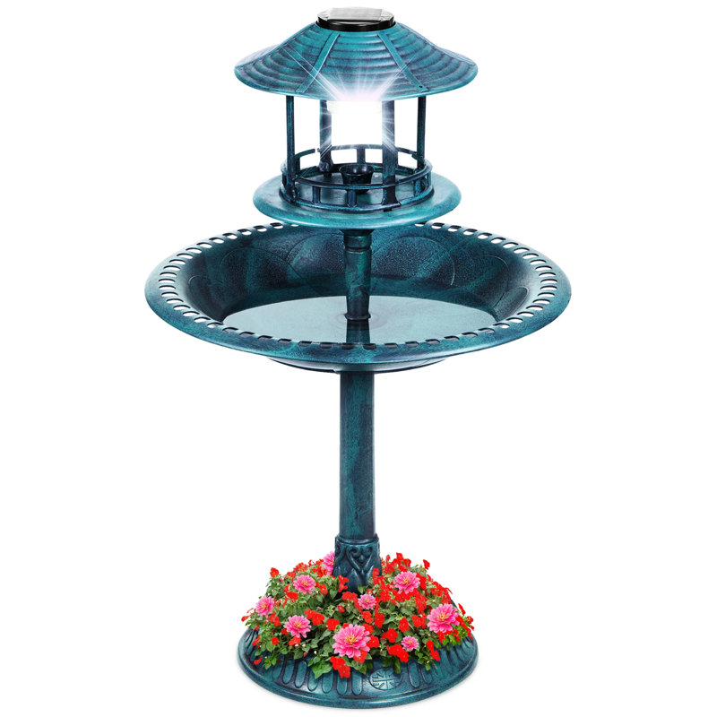 Bain d'oiseaux, Bleu paon