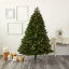 84' H Lighted Artificial Spruce Christmas Tree