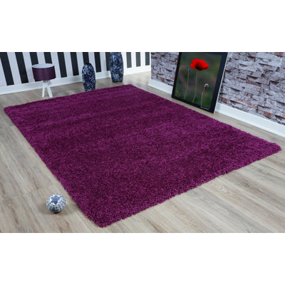 Esterly Solid Colour Shag Area Rug