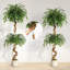 Plant-1309754138