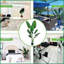 Arbre en pot-525736340