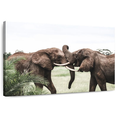 Brampt jouant des éléphants