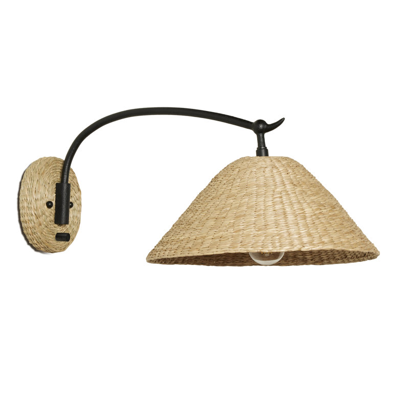1 - Light Swing Arm