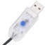 Holiday Lighting-32573794