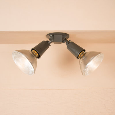 Flood Light