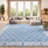 Asucena Oriental Navy/Light Gray Area Rug-32706447