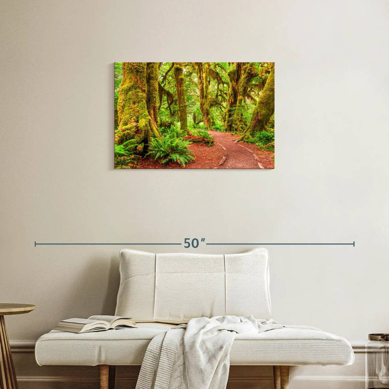 Mossy Hoh Rainforest Trees, H 20 po x l 30 po