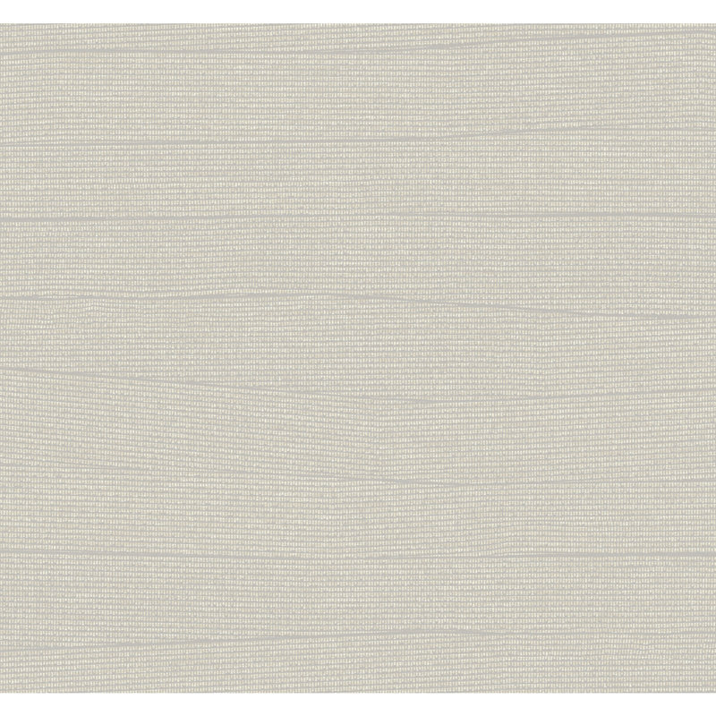 Rouleau de papier peint L 27 pi x l 27 po Almus, gris