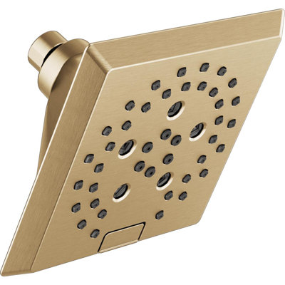 Adjustable Shower Head with H2Okinetic Technology