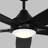 Lise 60'' Ceiling Fan with LED Lights-1505690342