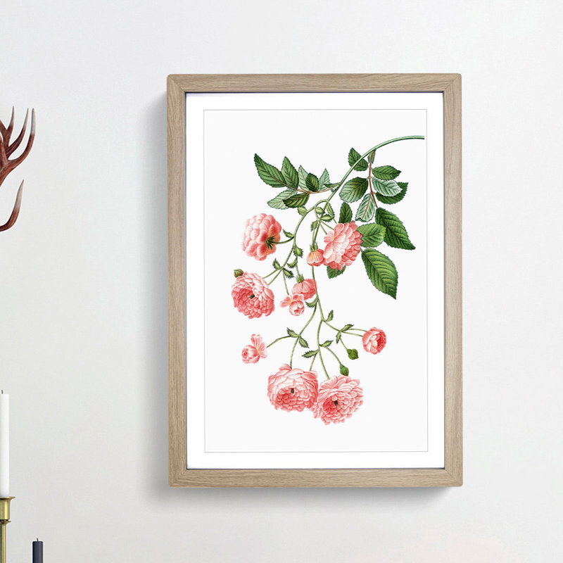 Rambler Roses by Pierre-Joseph Redoute - Picture Frame Painting Print, Oak Framed, 65cm H x 48cm W x 2cm D