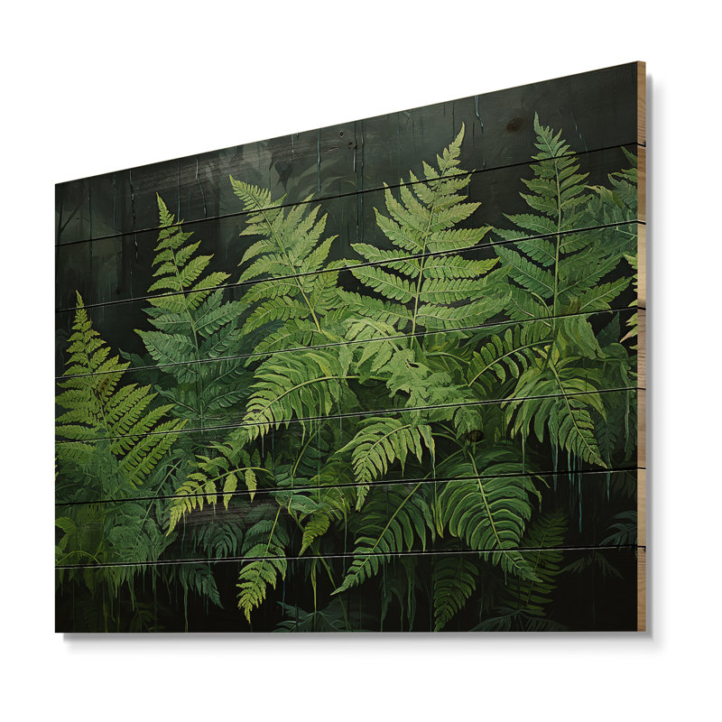 Emerald Green Ferns Forest I - Plantes, art sur bois de pin naturel, H 24 po x l 32 po