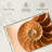 Aletra Nautilus Shell Inside-107680920