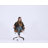 Transform 1.0 Extra Comfort Ergonomic Mid Back Desk Chair-2043024910-2043024909