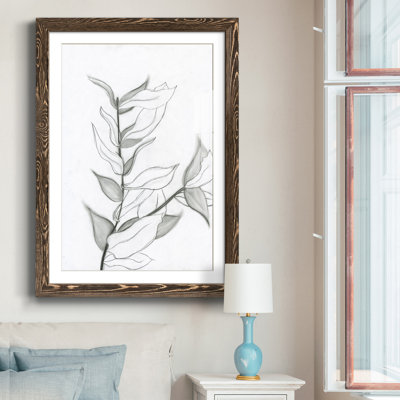 " Charcoal Foliage "