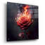 «Red Rose On Fire 1» par Rey Klimt, art mural en verre acrylique-738228649