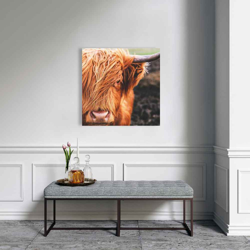 Portrait Highland Cow - Toile orange pour la décoration intérieure