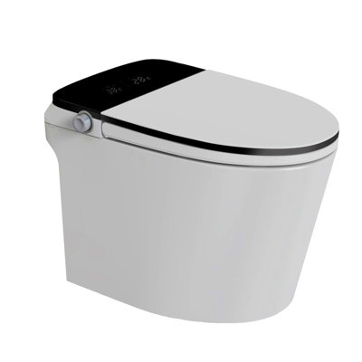 Toilettes intelligentes en noir et blanc