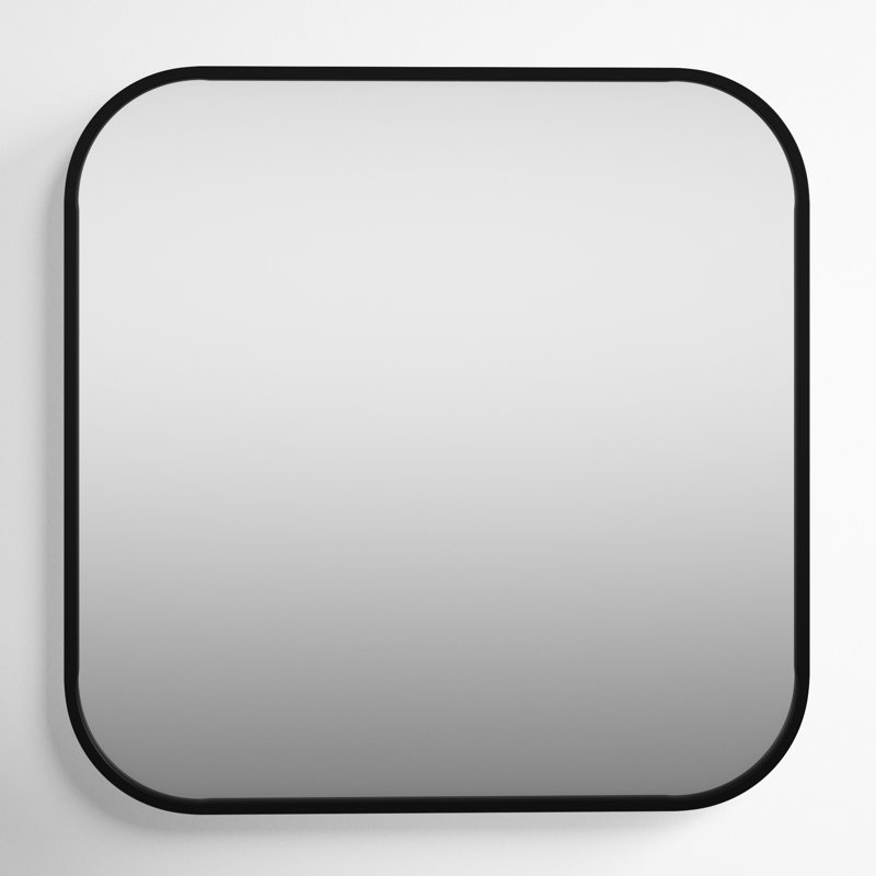 Ovella Modern and Contemporary Accent Mirror, Brushed Black