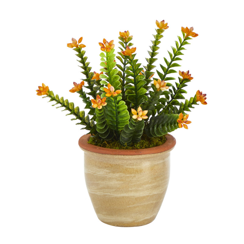 10'' Green and Orange Silk Succulent in Ceramic Planter