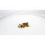 Aimant de bouledogue