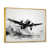 Gold Floater Framed