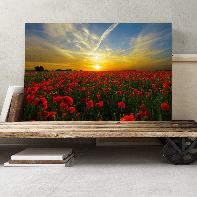 Landscape Red Poppy Meadow Sunset Photographic - Wrapped Canvas, 50cm H x 76cm W